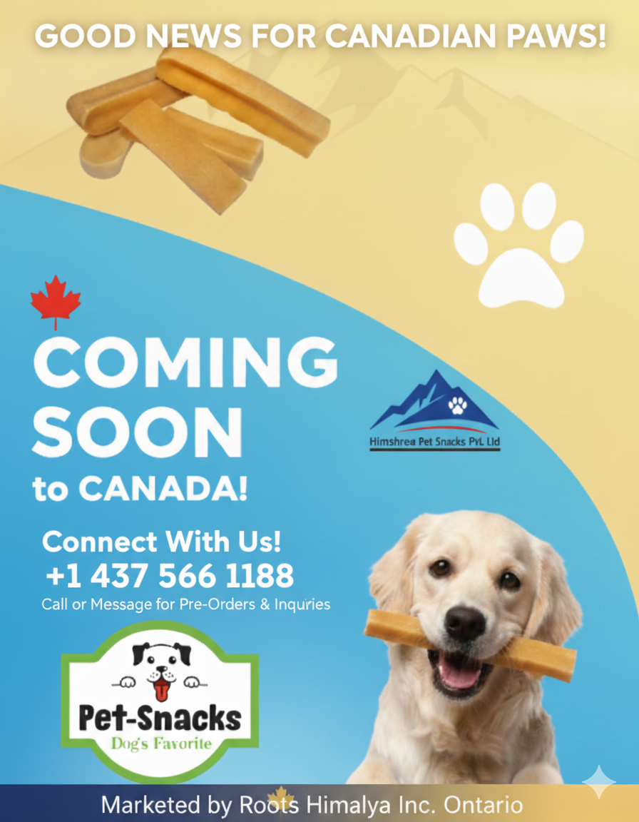 Himalaya Dog Chew Food - Roots Himalaya